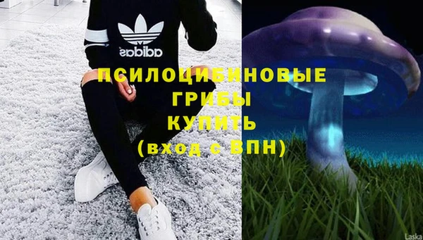 эйфоретик Ельня