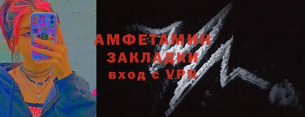 эйфоретик Ельня