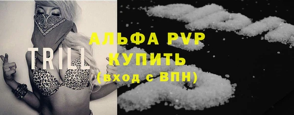 эйфоретик Ельня
