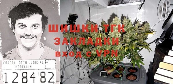 эйфоретик Ельня